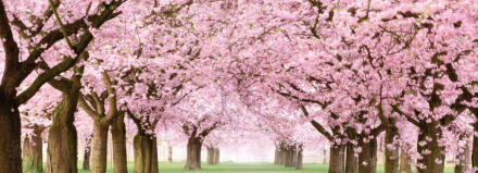 Lebenspraxis Ines Full