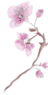 Lebenspraxis Ines Full