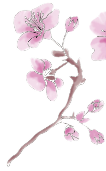 Zweig mit rosafarbenen Kirschblüten